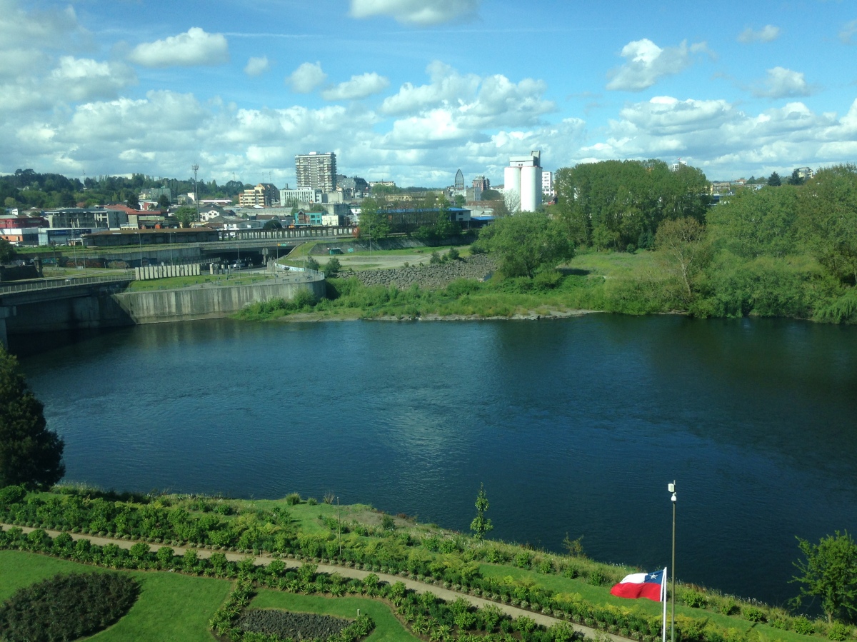 Osorno de verde y gonfoterio