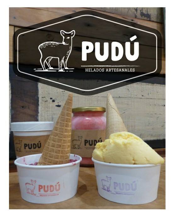 Helados Pudú 2